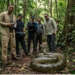 Amazon rainforest: A never-before-seen 7.5‑metre giant anaconda is found during a Will Smith documentary shoot