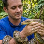 A Giant African Python Has Been Officially Confirmed by Herpetologists During a Field Expedition